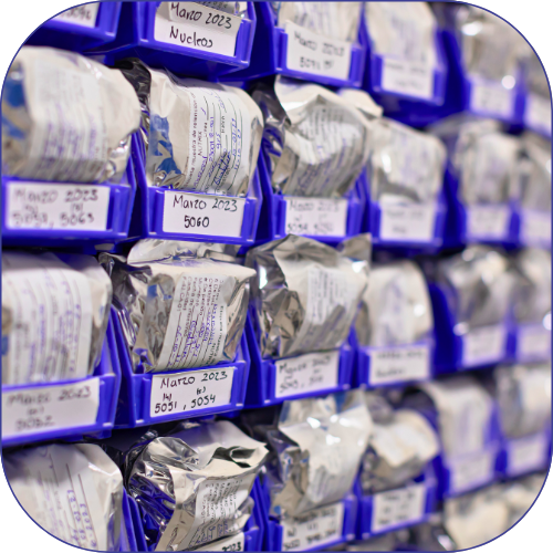 Image Not Found